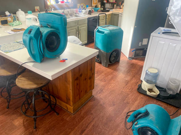 Best Local water damage restoration  in Pompton Lakes, NJ