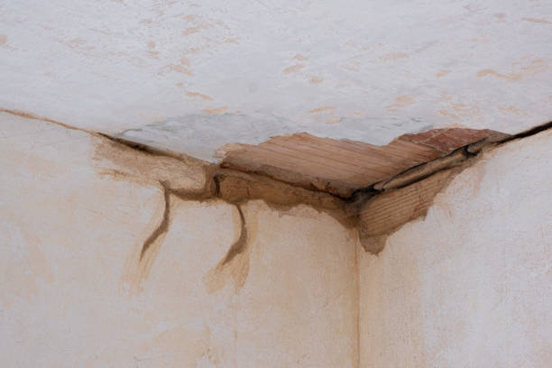 Best Water damage repair service  in Pompton Lakes, NJ