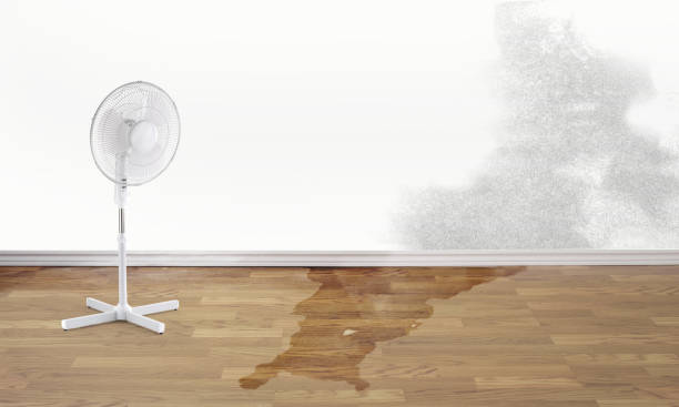 Pompton Lakes, NJ Water damage restoration Pros