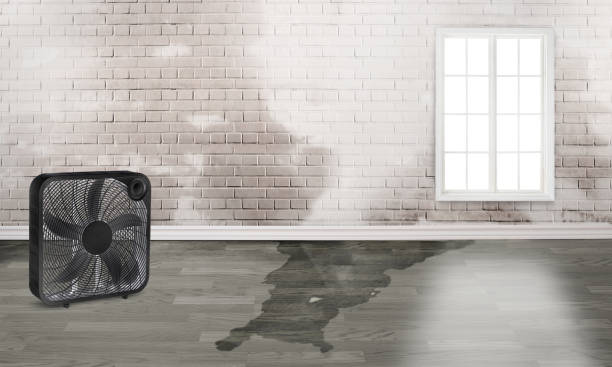 Best Water damage contractors near me  in Pompton Lakes, NJ