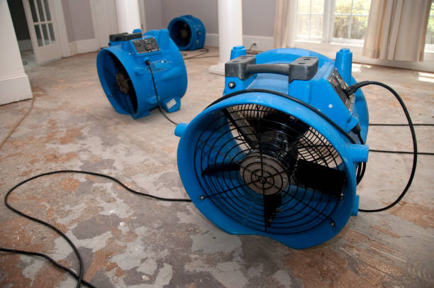 Best 24/7 water damage repair  in Pompton Lakes, NJ